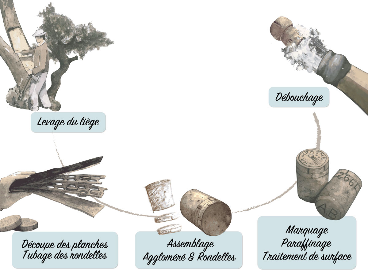 Cycle de fabrication du bouchon à champagne